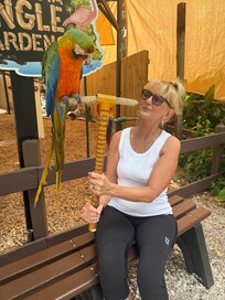 Jungle Gardens experience