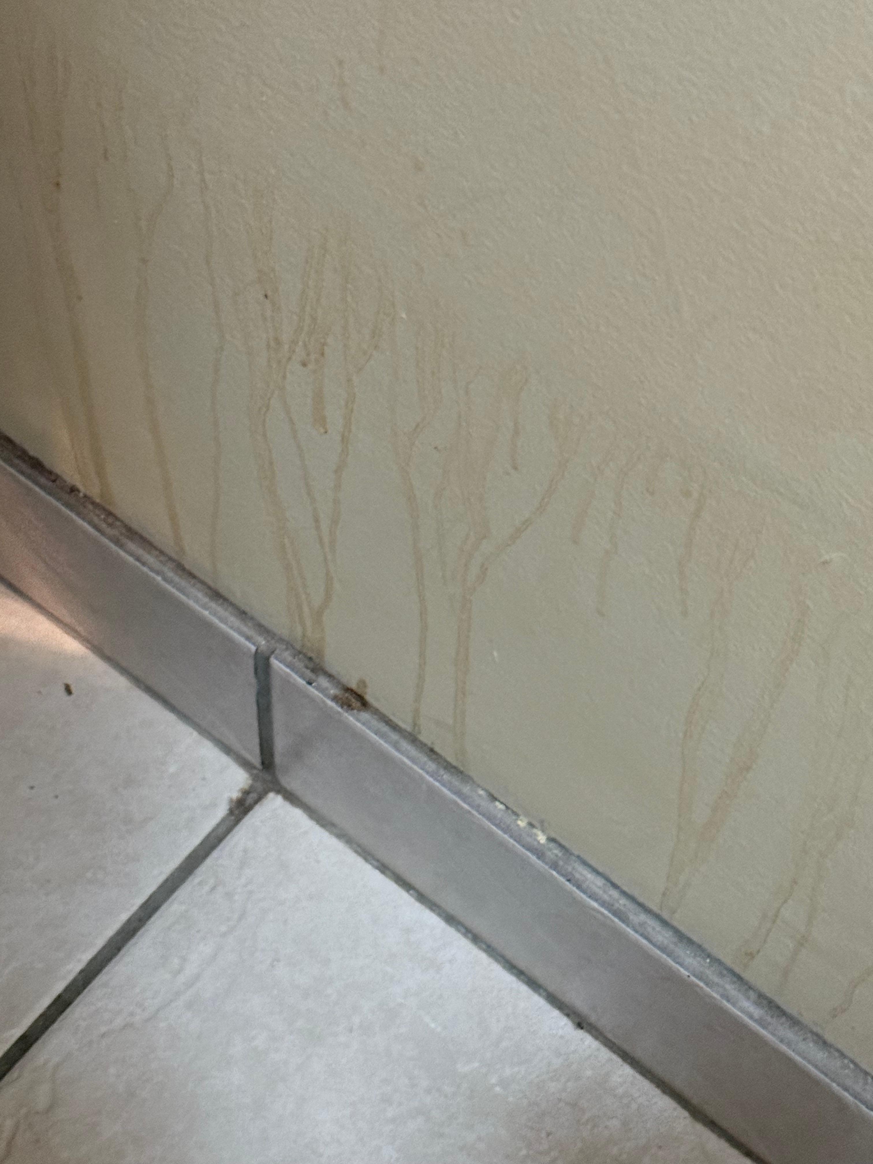 Bathroom wall