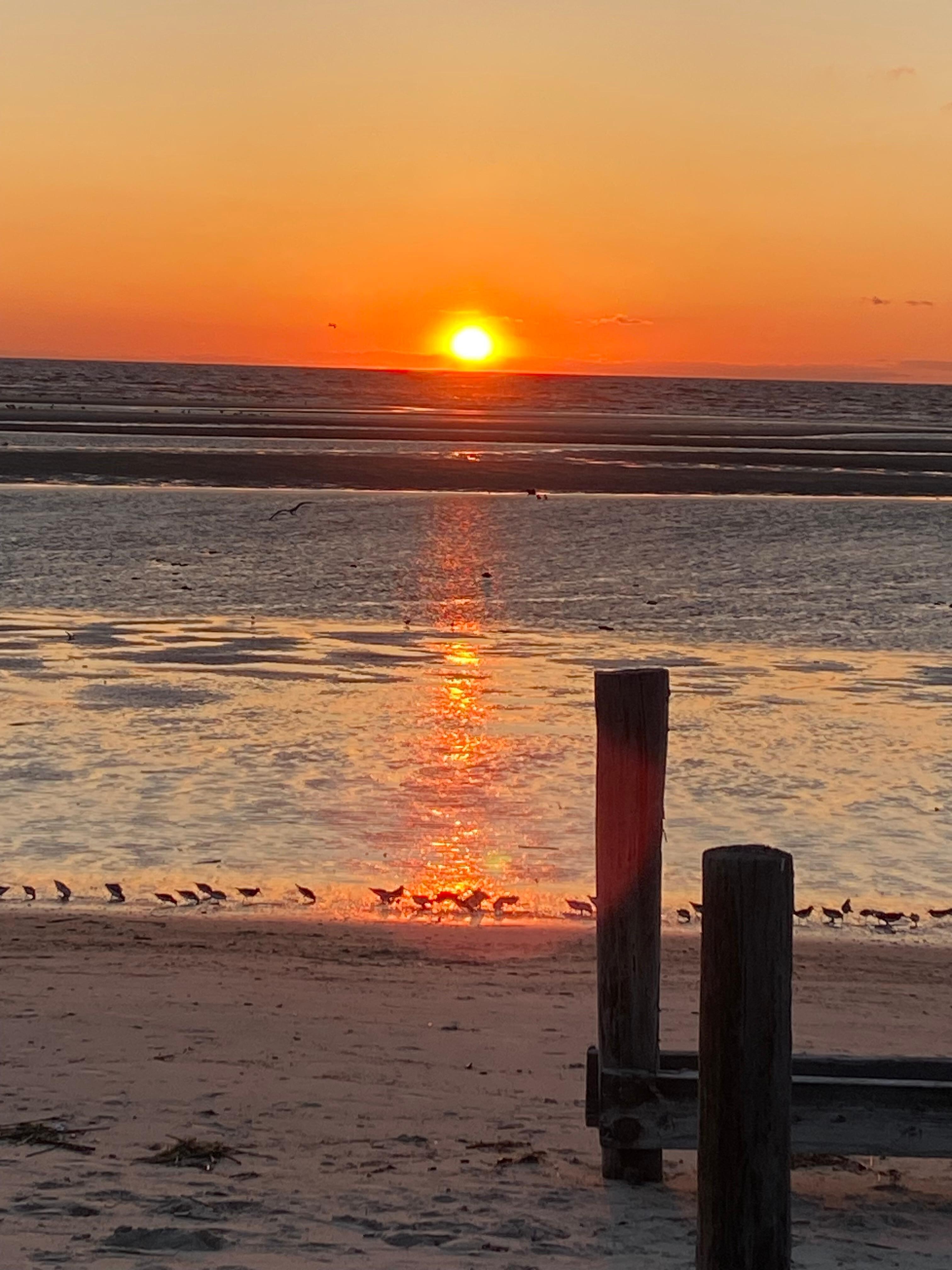 Gorgeous sunset