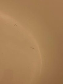 Hairs in bath