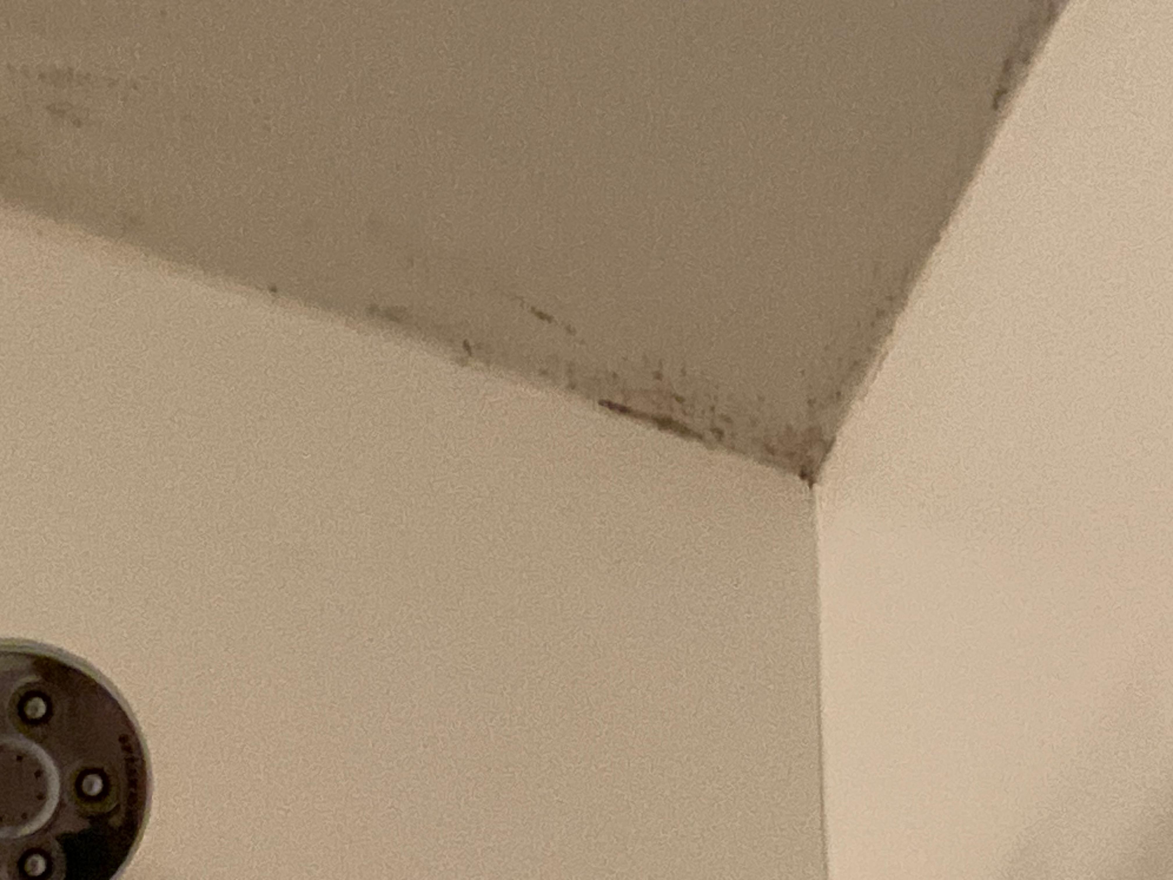 Bathroom ceiling