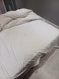 Would you sleep in a bed stained with mucus faeces blood?