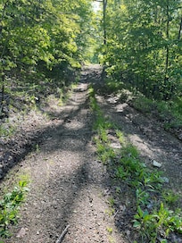 Road to the other camp