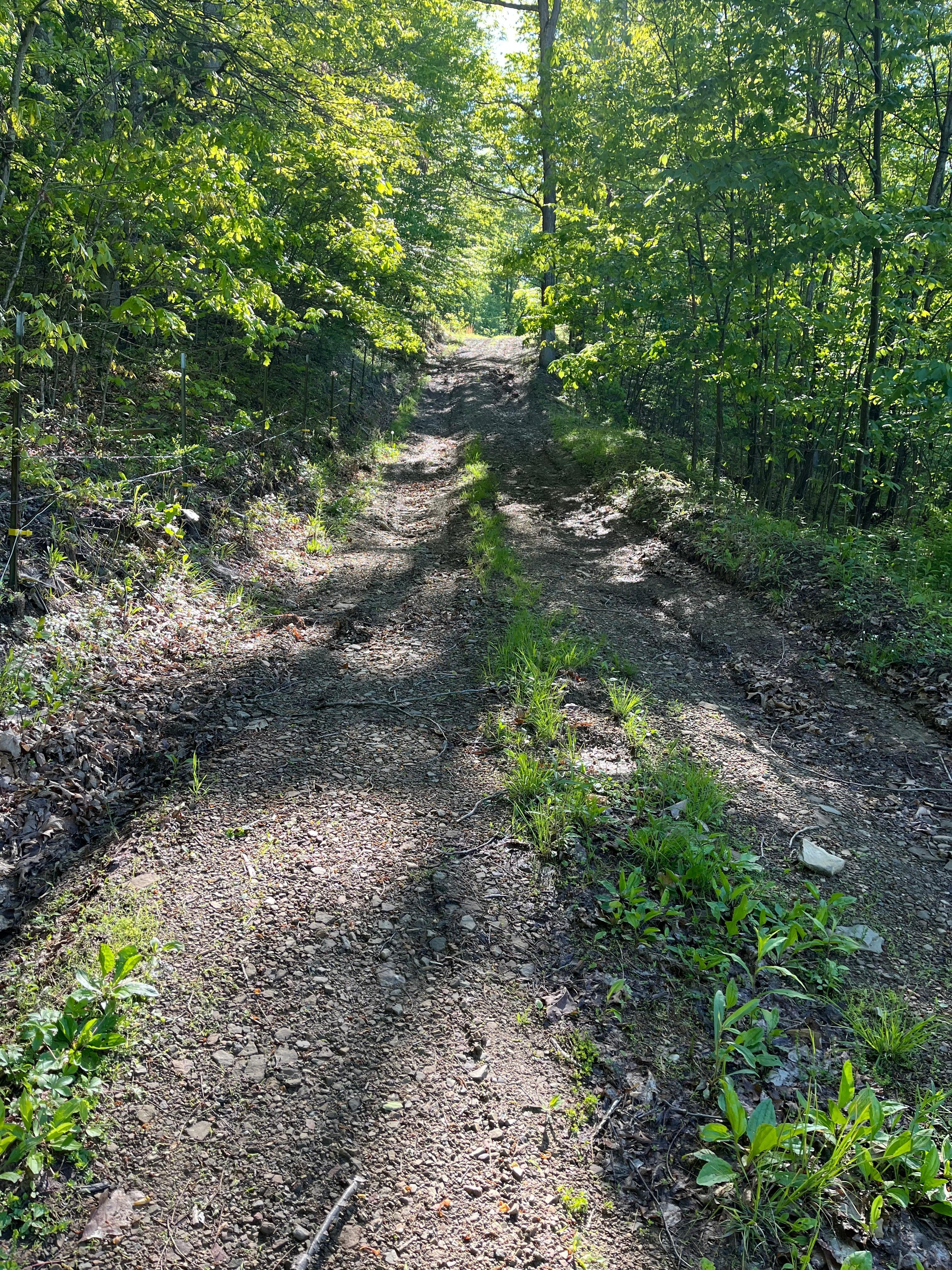 Road to the other camp