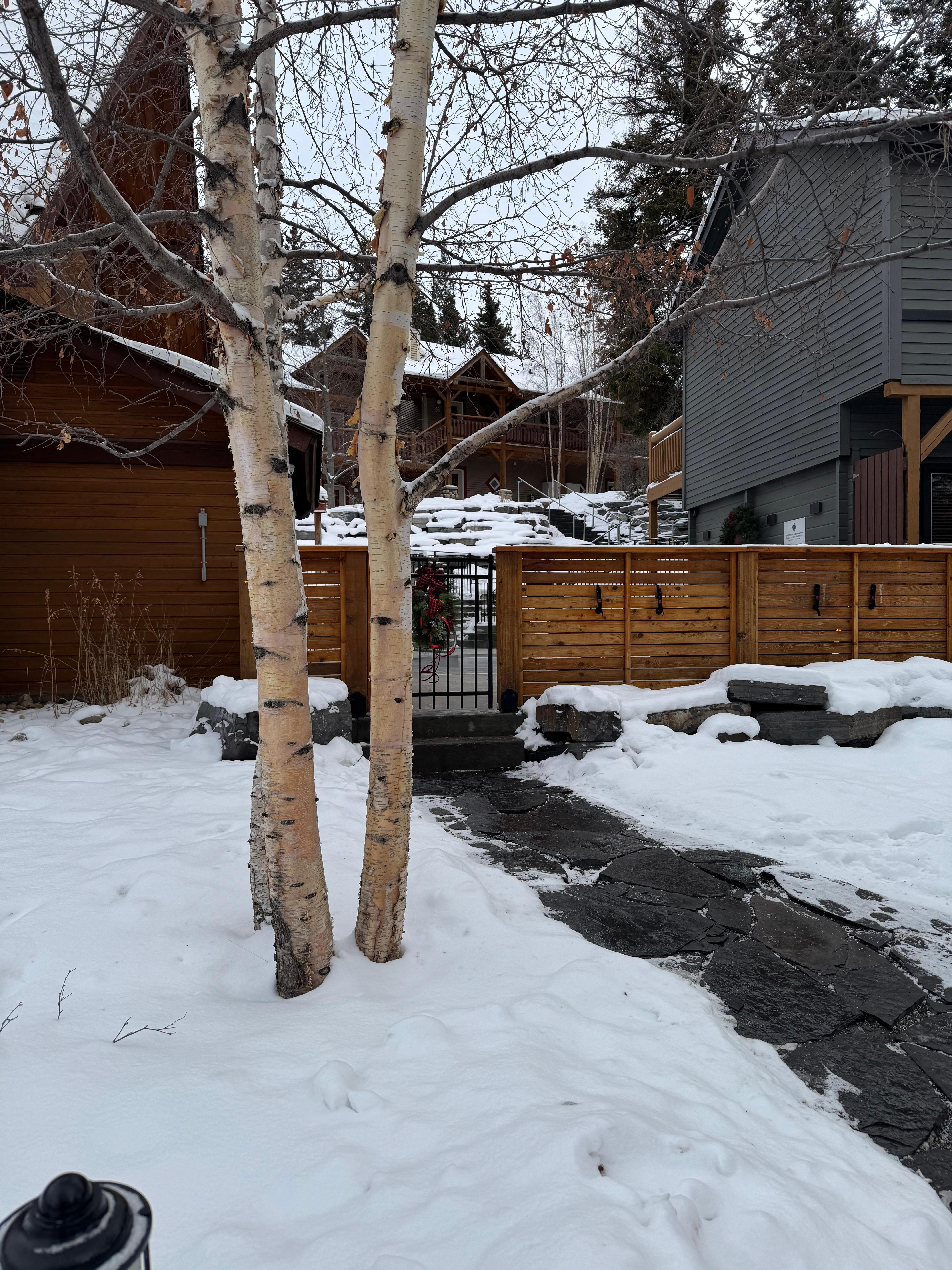  Birch by the jetted hot tub