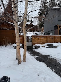 Birch by the jetted hot tub