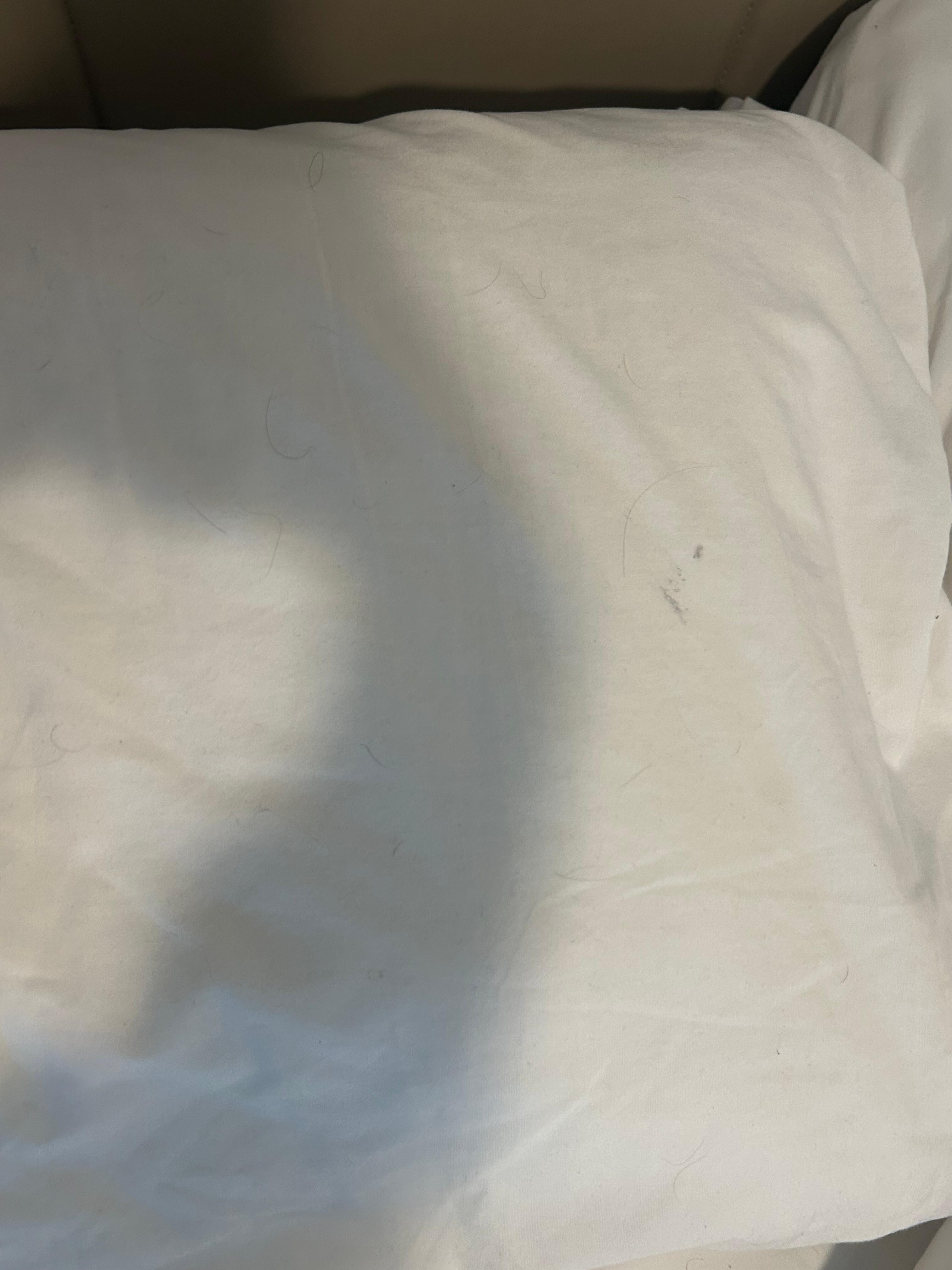 Bedroom pillow