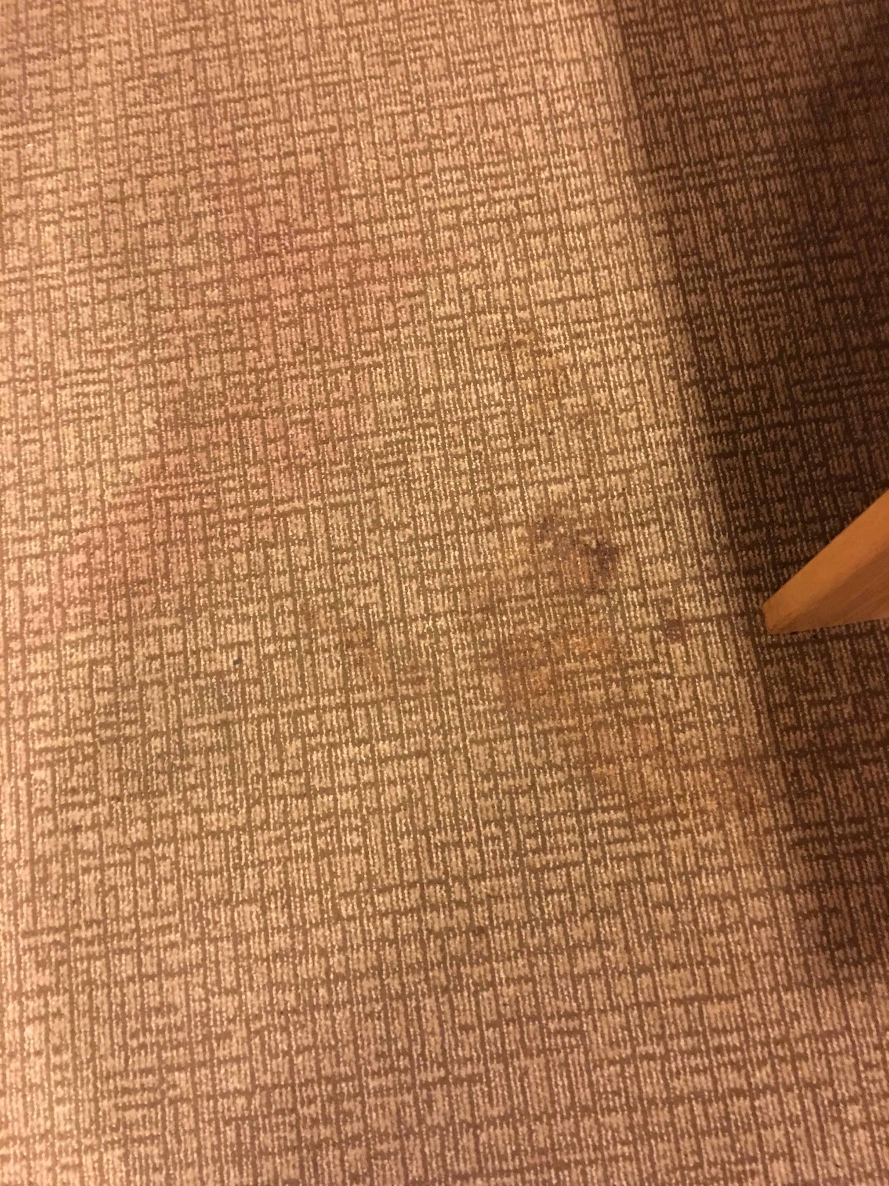appears to be stains from urine