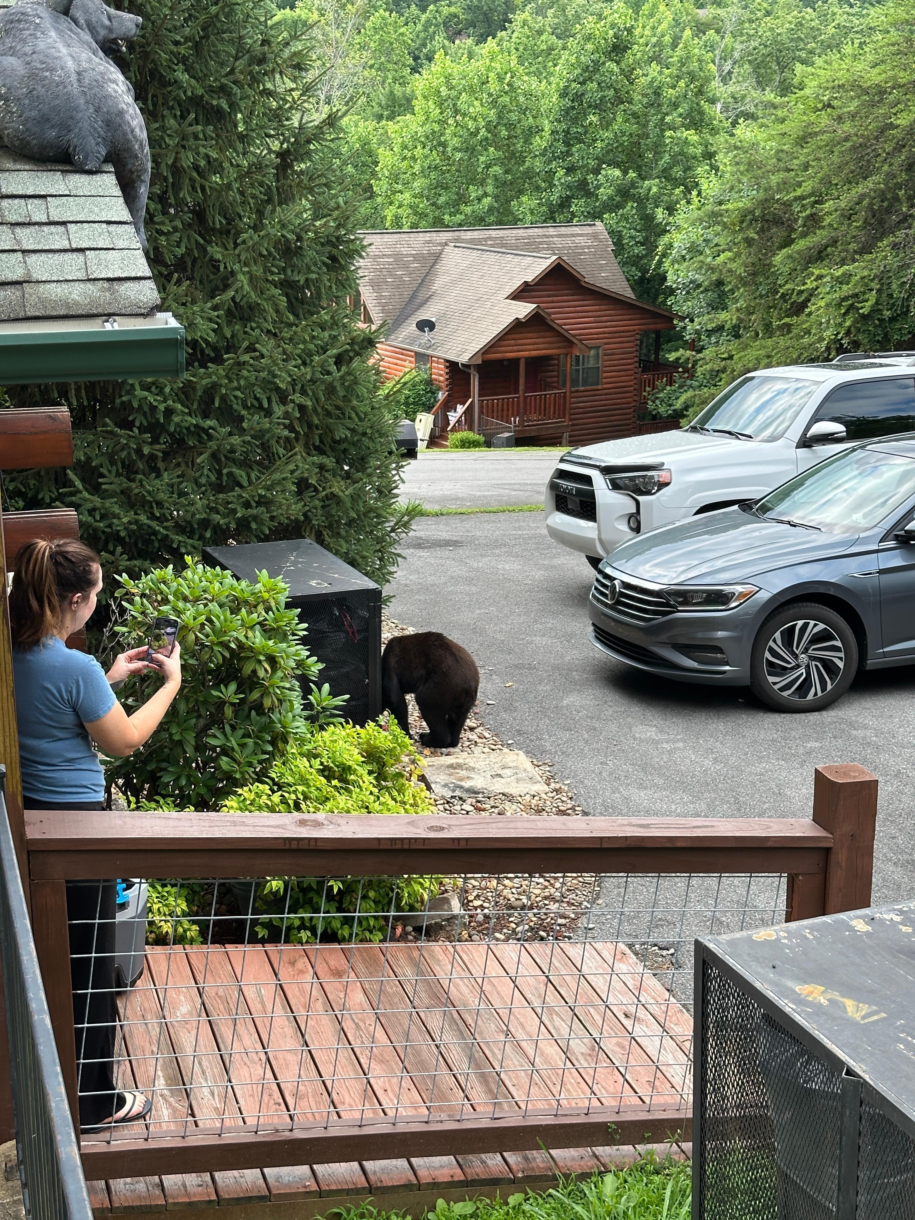 our bear friend!
