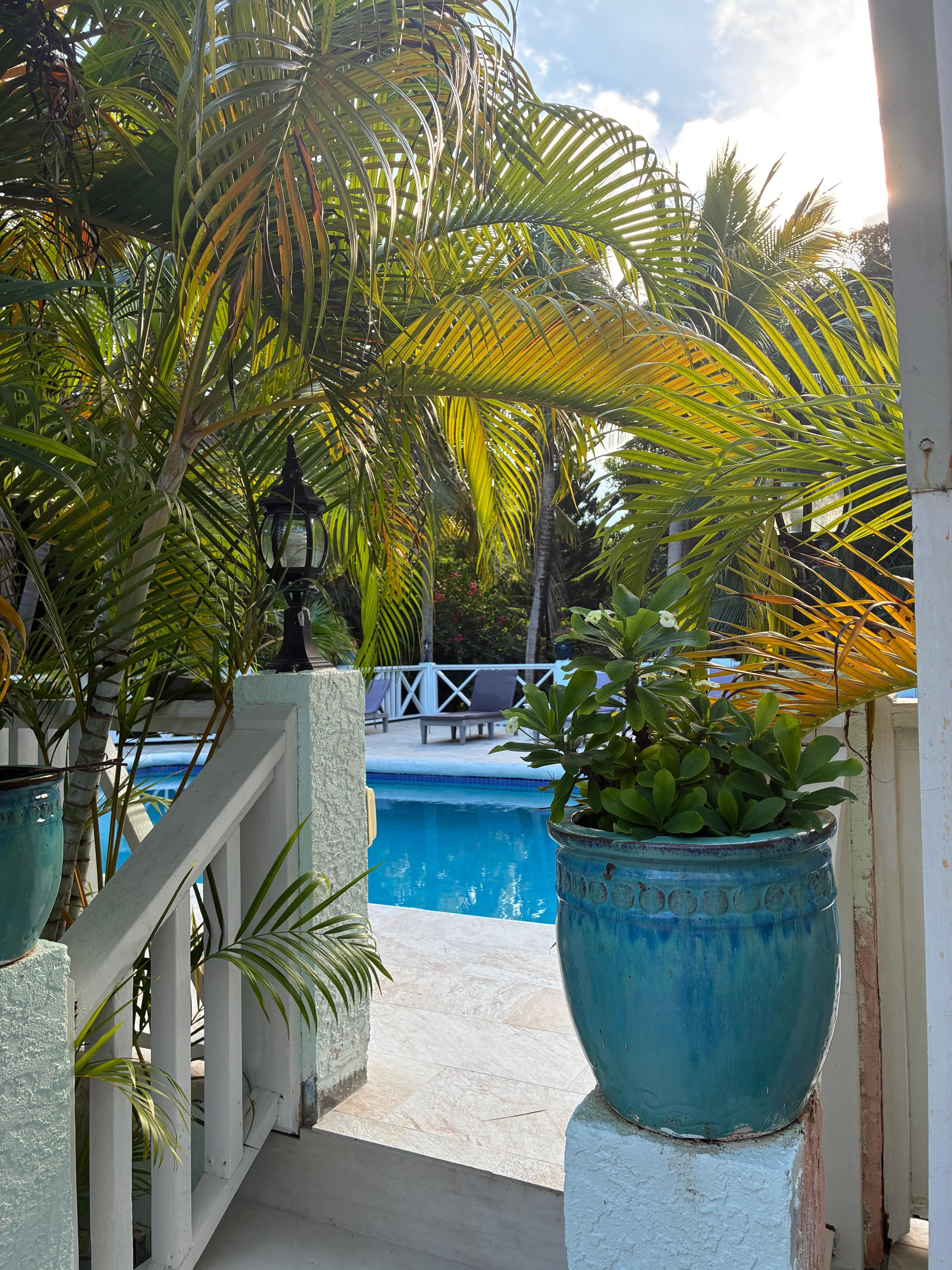 The gardens are lush and private. 