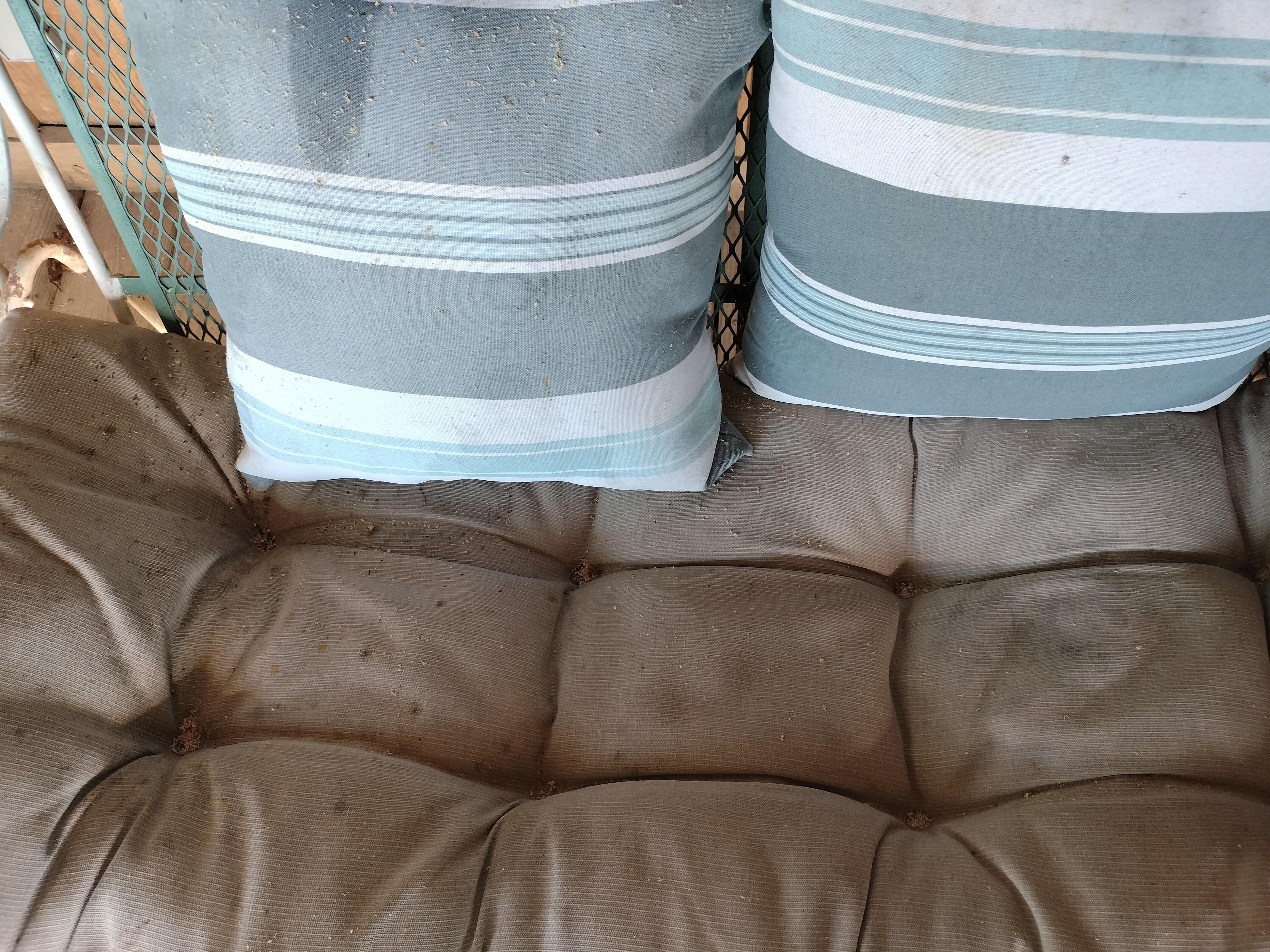 Dust in sofas 