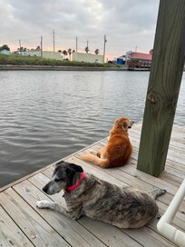 Morning on the dock