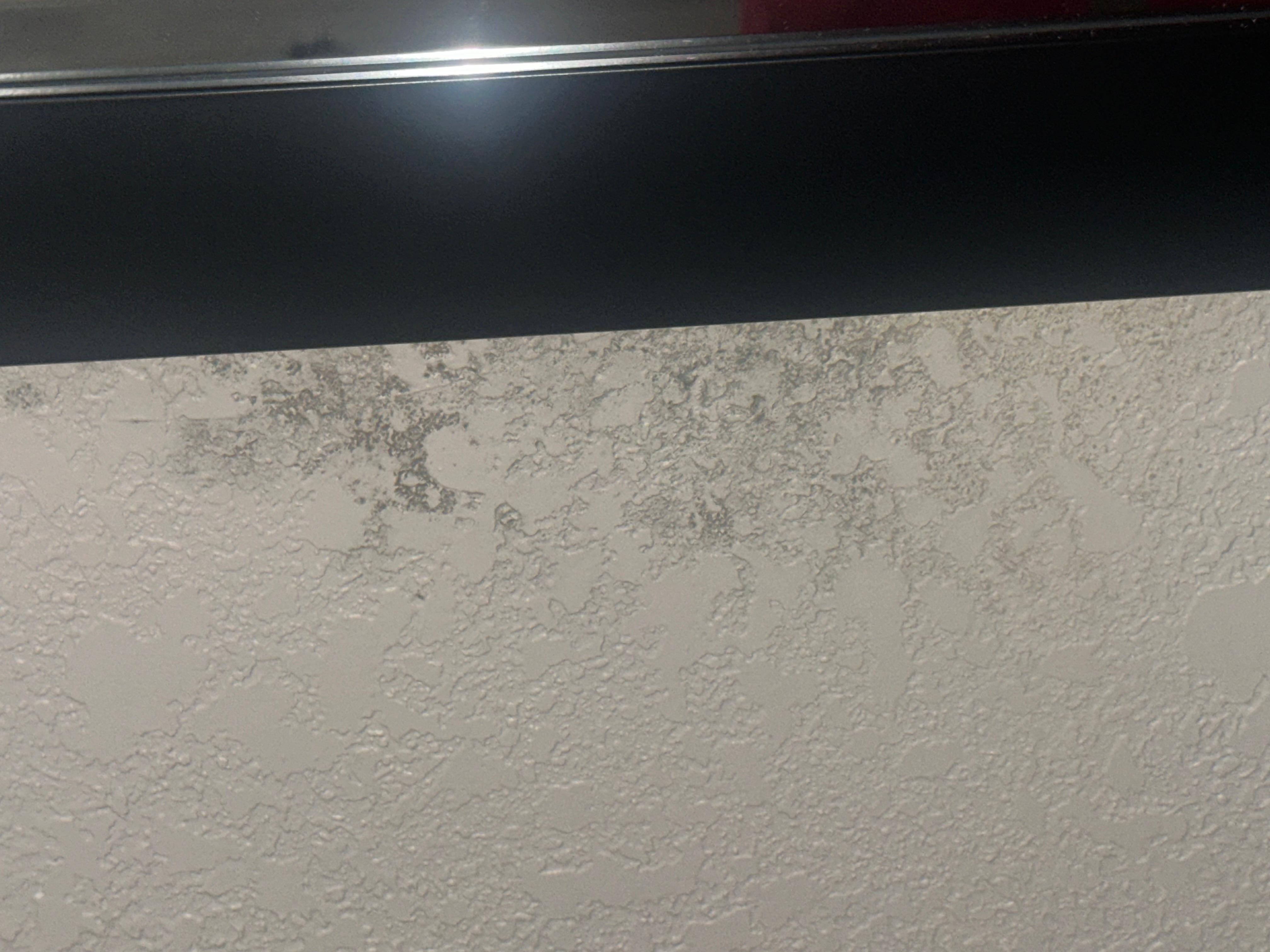 Mold under mirror 