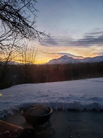 Morning view from the back door
