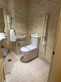Baño viejo, sucio…