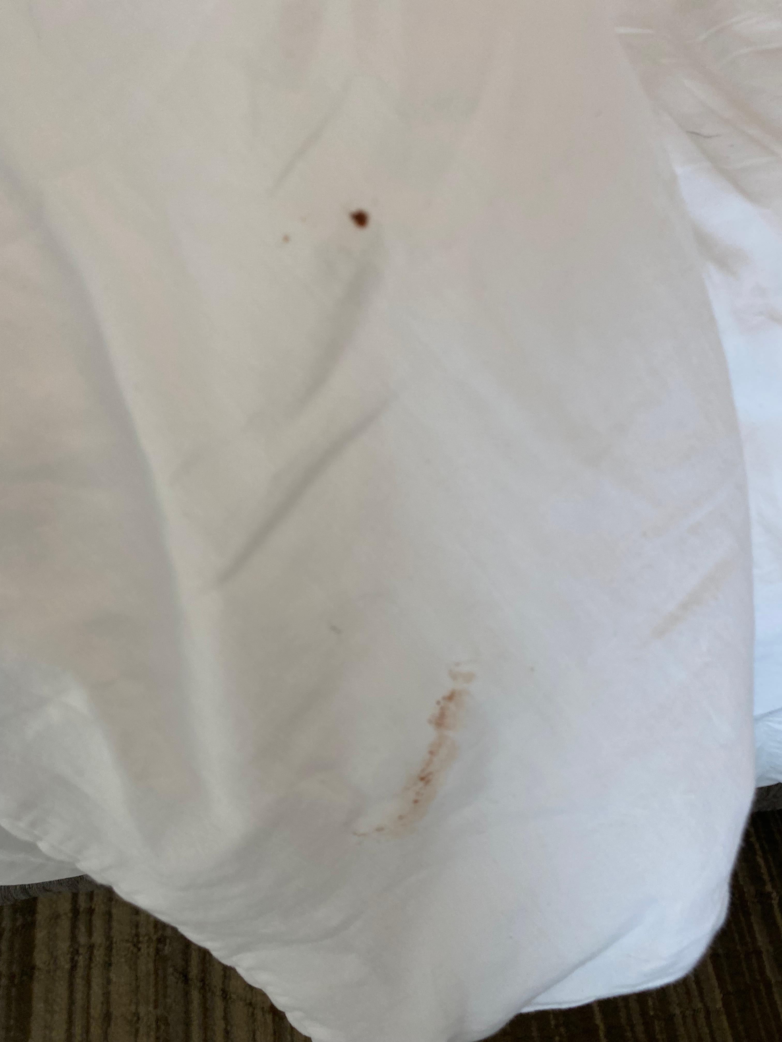 Blood
