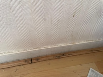 Der var skidt ned ad væggen. Da vi bad om rengøring. Vaskede de gulvet.