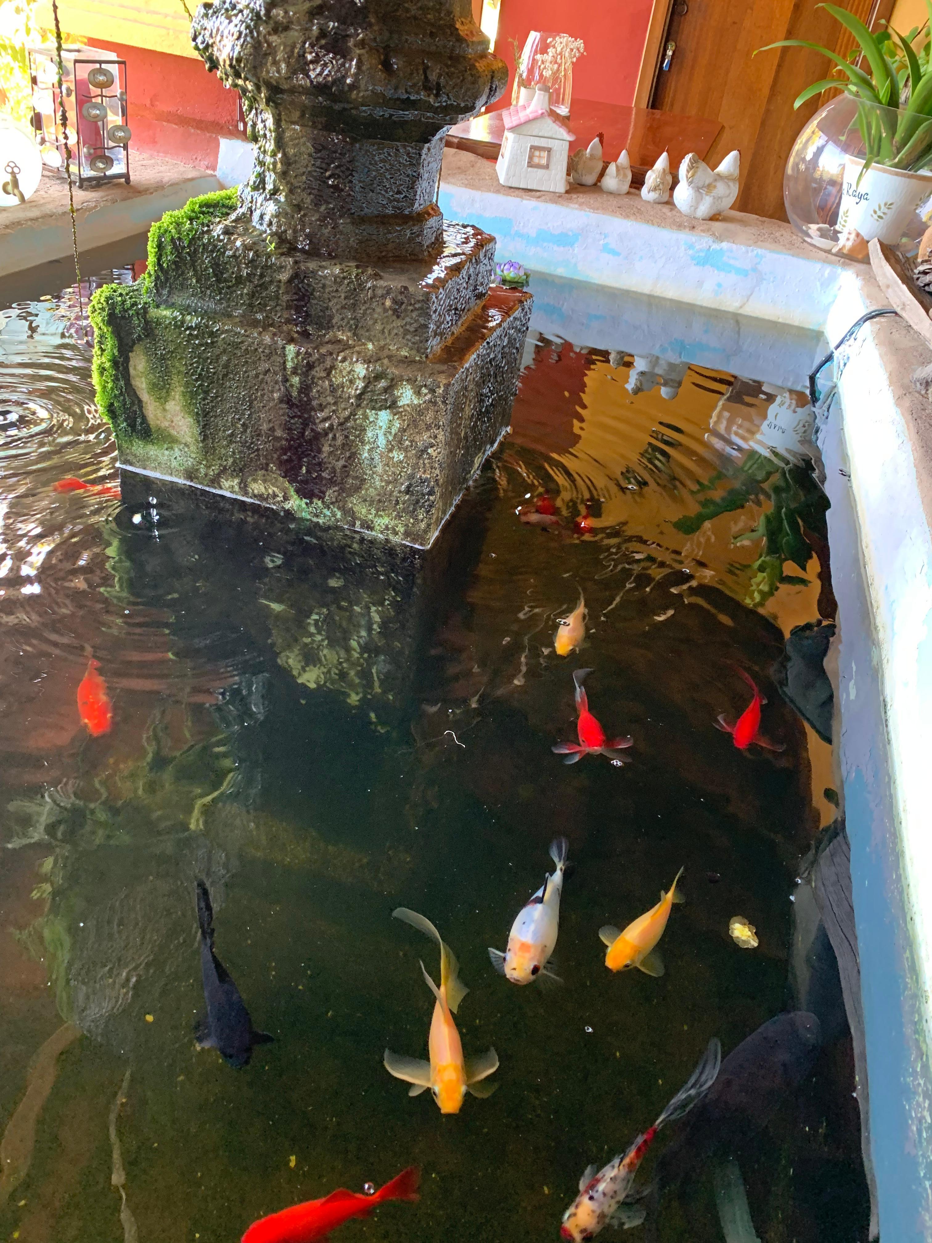 Fontaine du restaurant où on prend le petit déjeuner 