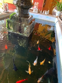 Fontaine du restaurant oĂč on prend le petit dĂ©jeuner