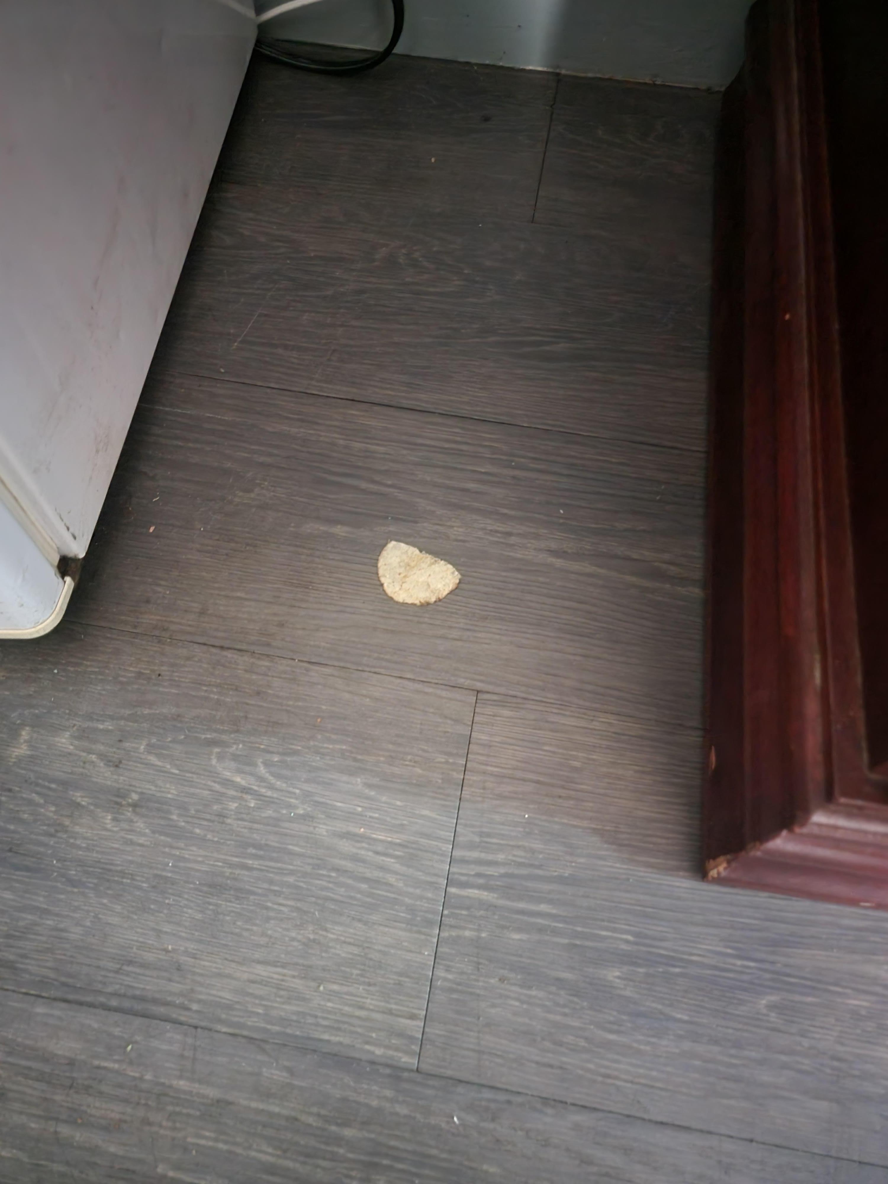 Potato Chip anyone?