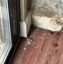 Worms in several places in the kitchen, by the door, by the sink and near a hole that use to house some kind of an appliance