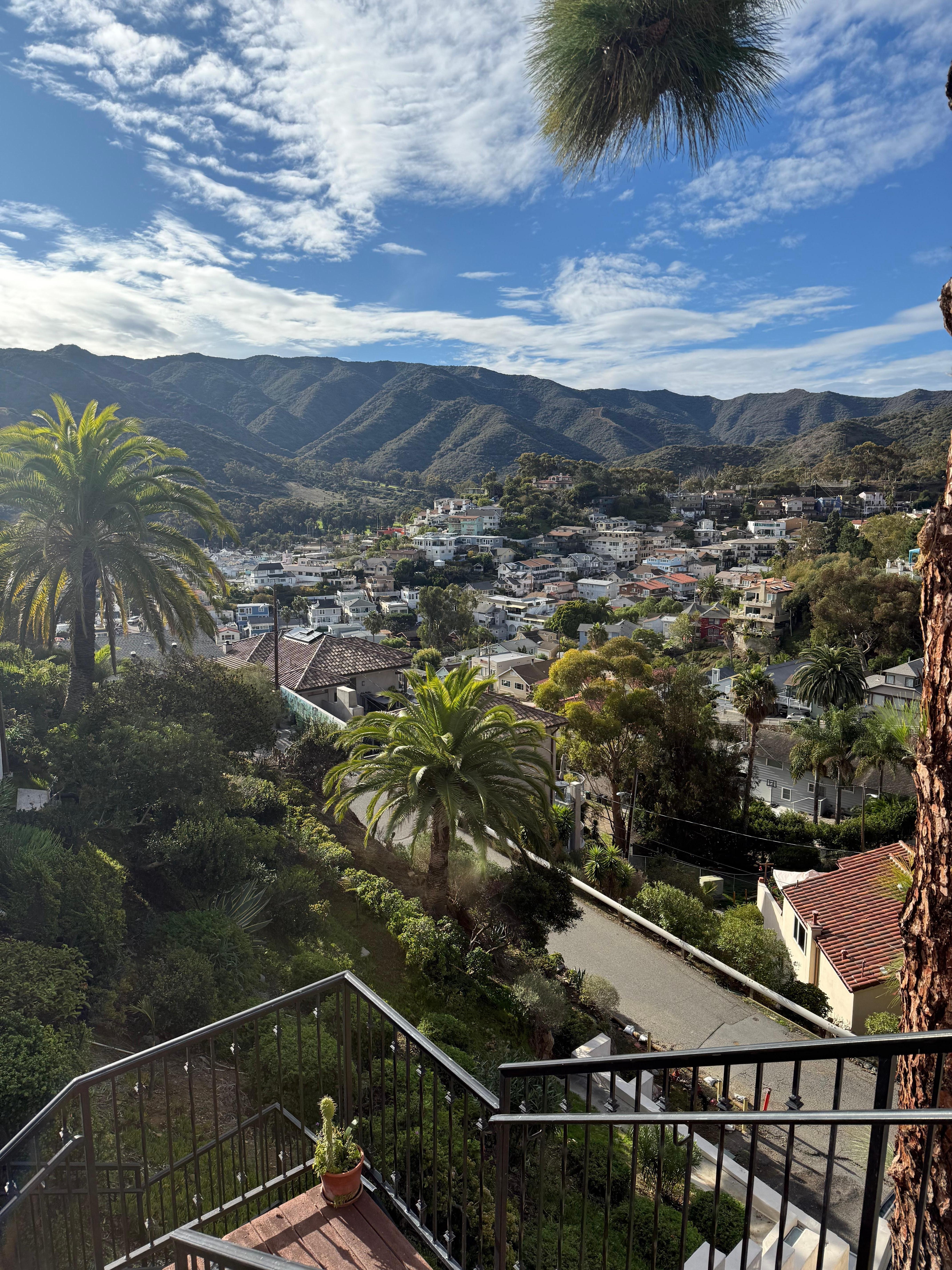 View from the 5th floor