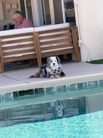 Anni enjoying the cool concrete and gazing at the beautiful water