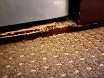 Disintegration of the particle board in the main room cabinet.