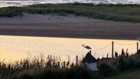 The shoreline in front of the property