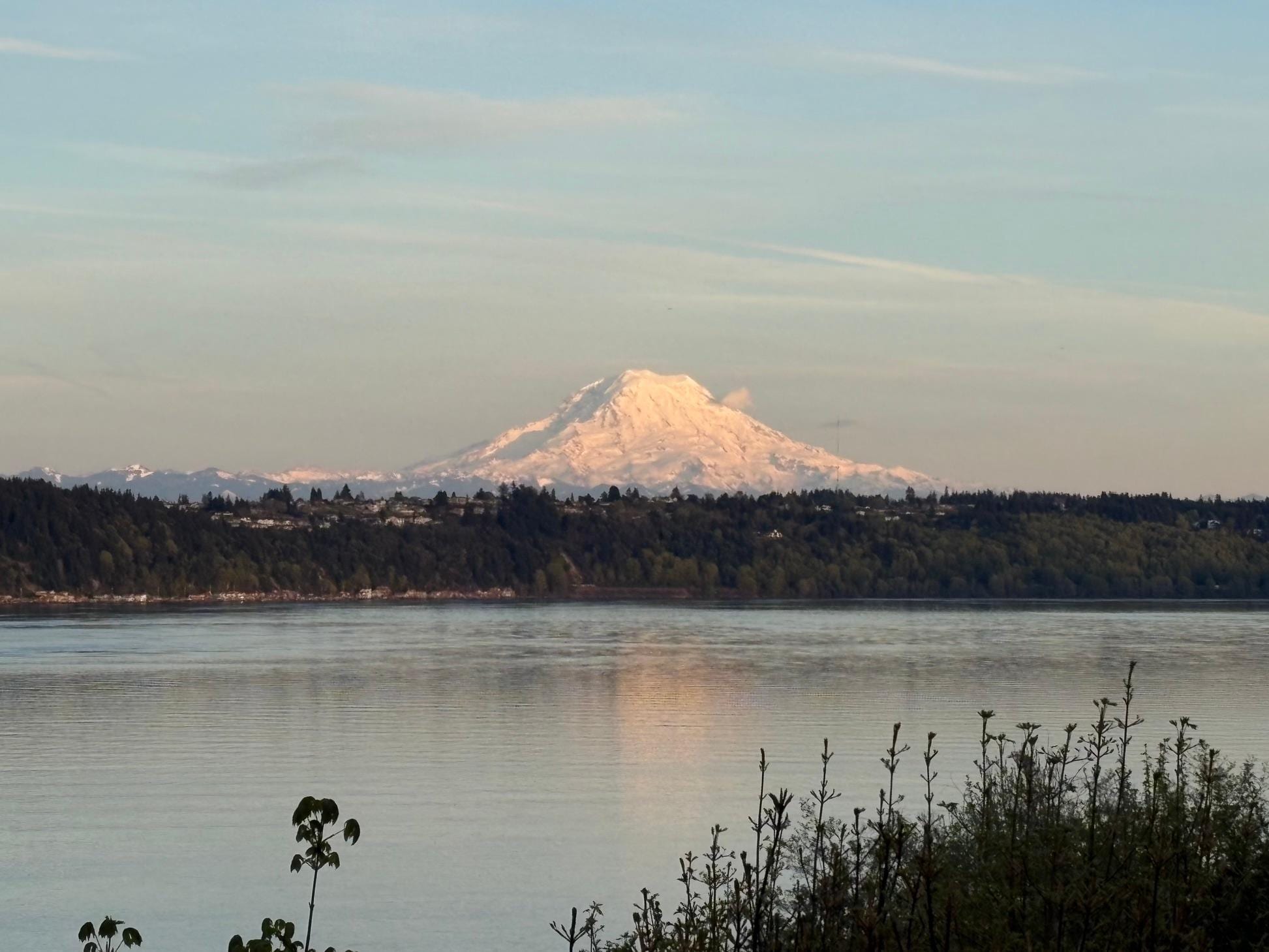 Mt. Rainier at sunset.