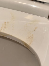 Poop on toilet seat