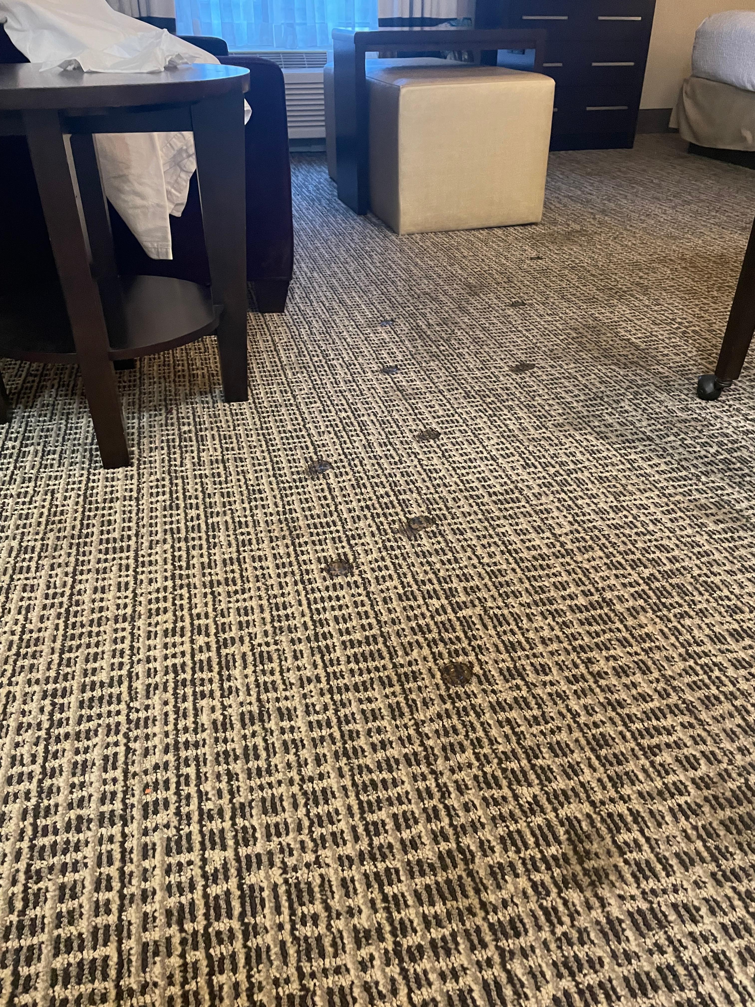 Burnt marks in carpet