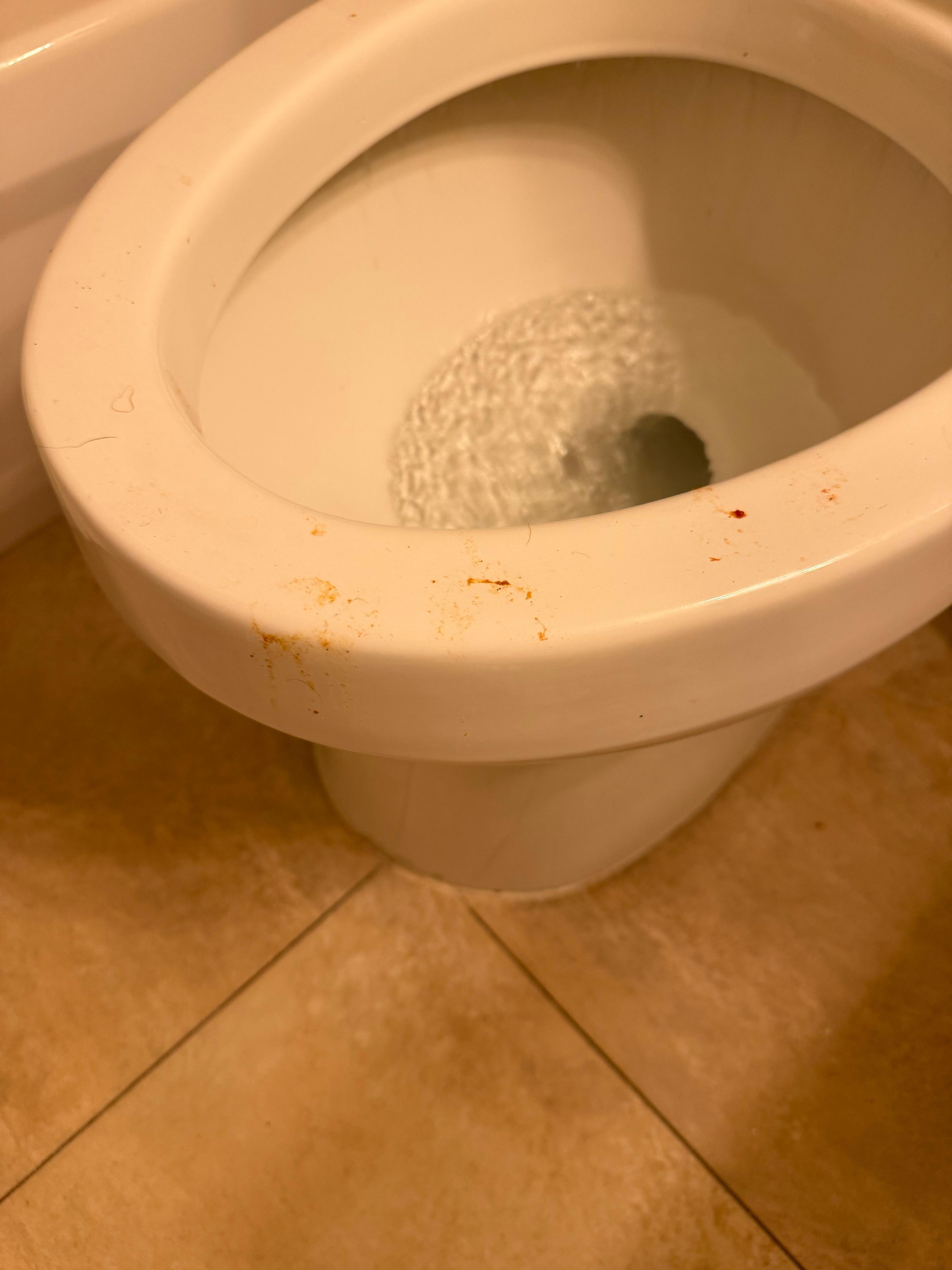 Puke or poop under the toilet seat…