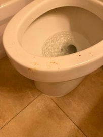 Puke or poop under the toilet seat…