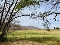 Mountain View from the back yard.