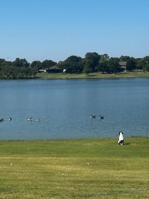 Oakley bird watching!