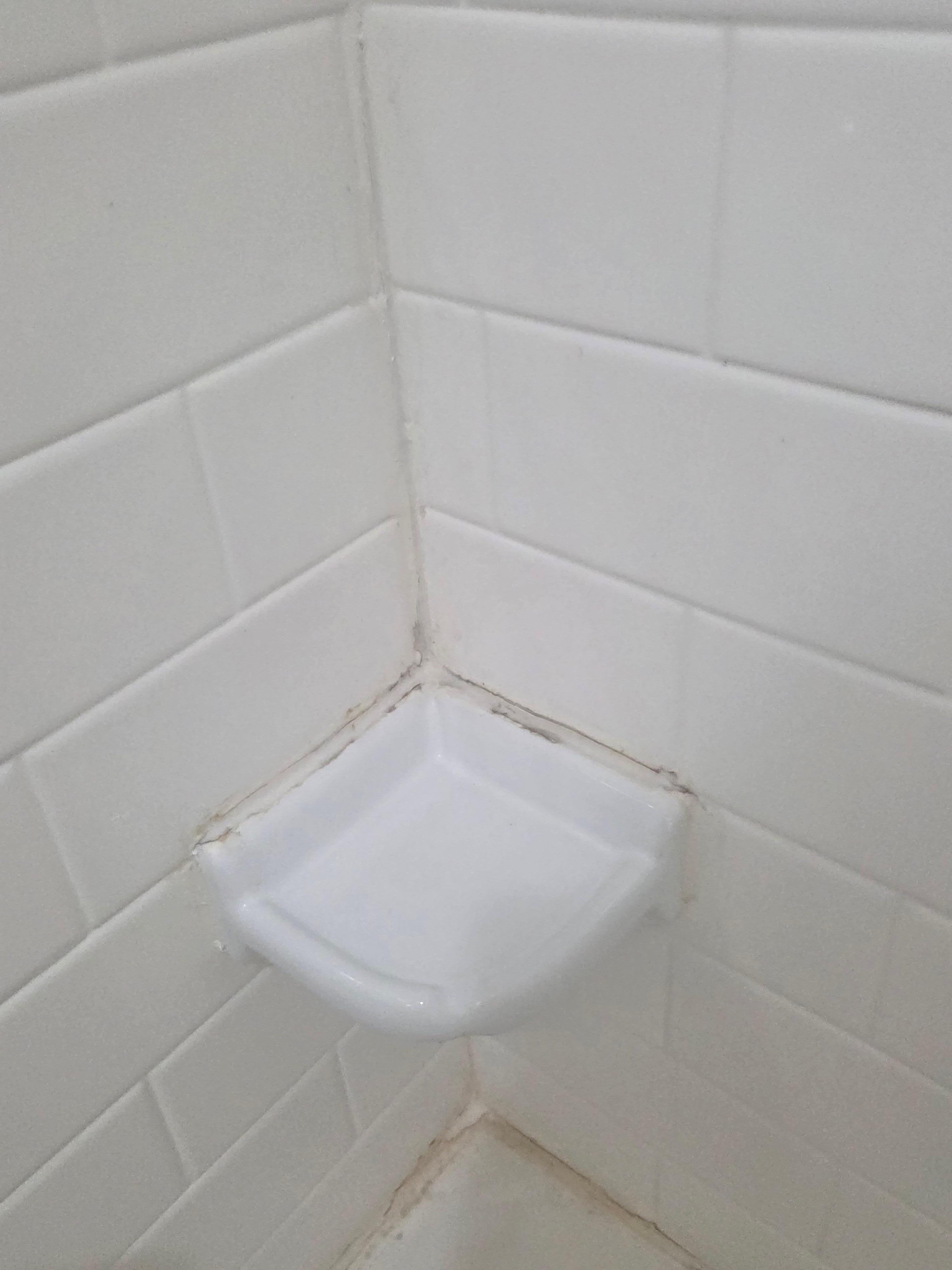 Mold/ mildew in bathtub