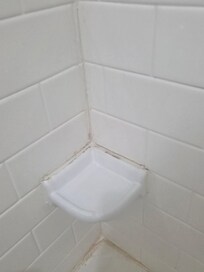 Mold/ mildew in bathtub