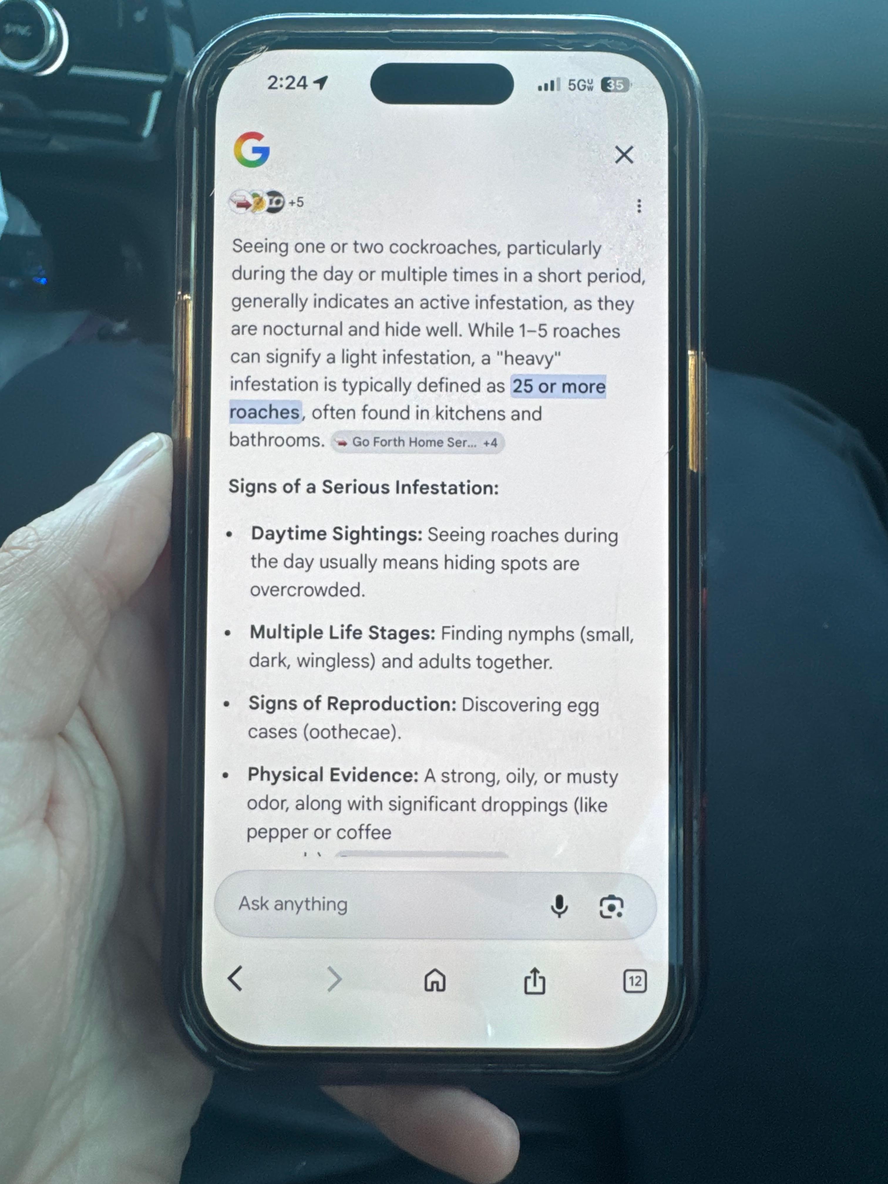 Research regarding active infestation 