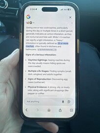 Research regarding active infestation