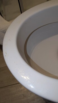 Toilet upon arrival.