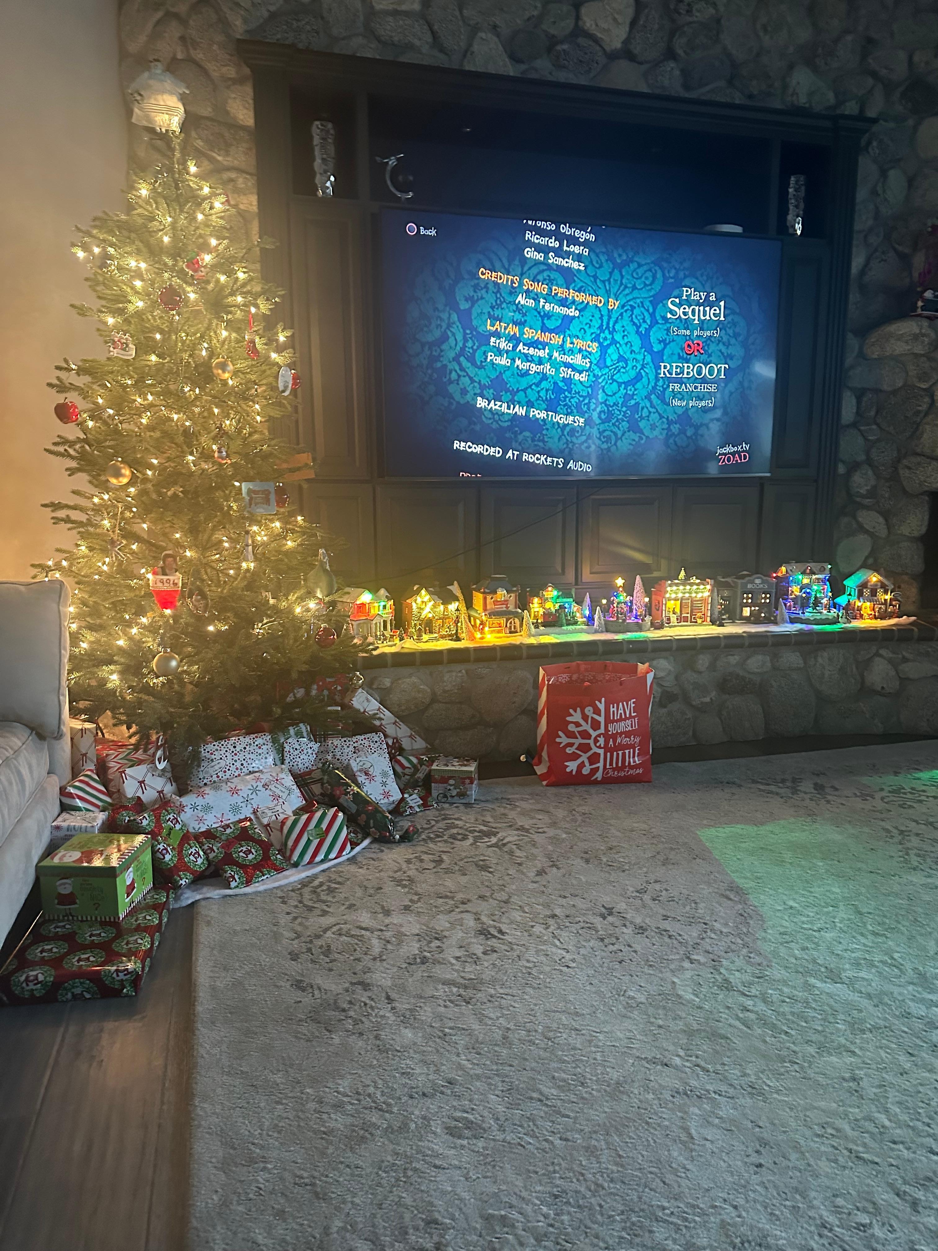 We brought the Xmas village, host supplied the tree. 