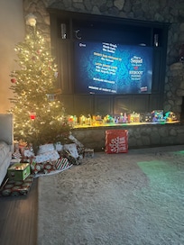 We brought the Xmas village, host supplied the tree.