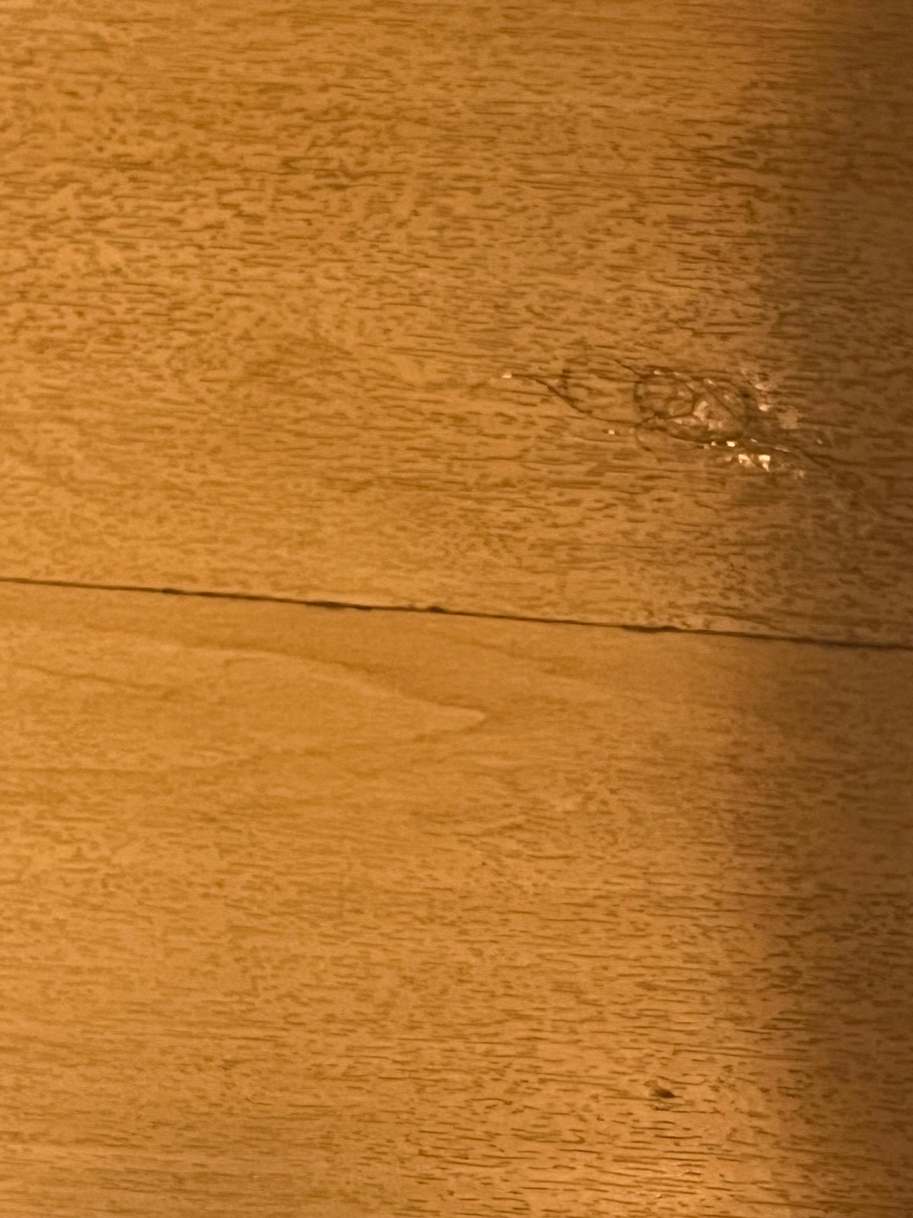pelo en el baño de la habitación que me habían asignado primero
