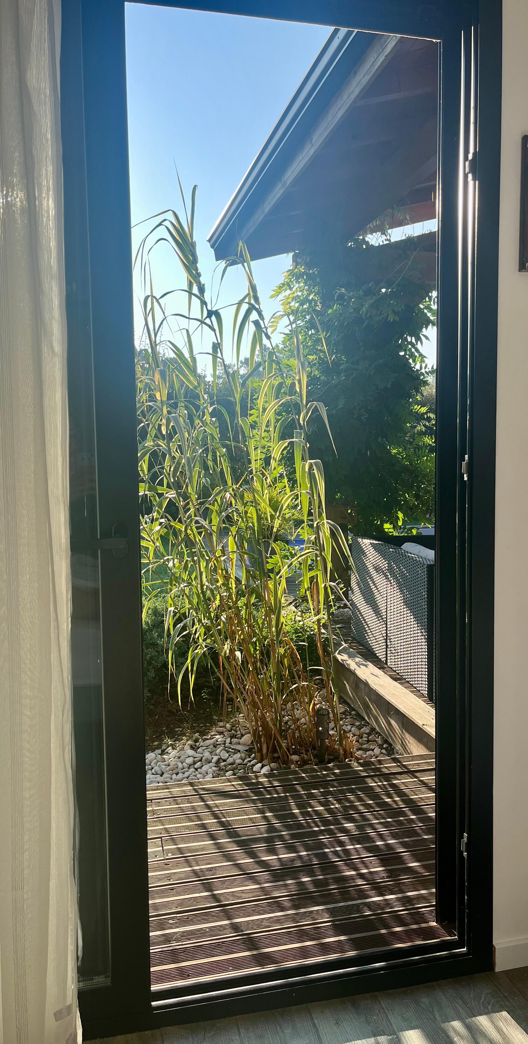 Blick aus dem Bett, im ersten Schlafzimmer 