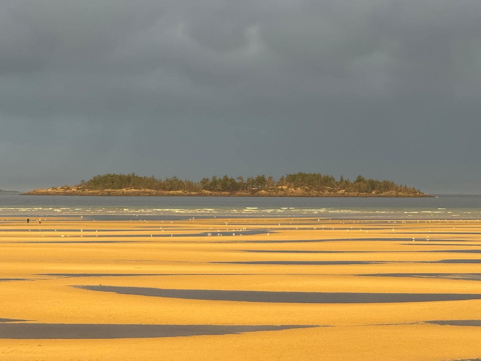 Low tide at the beginning of dusk. This was taken from the balcony. 