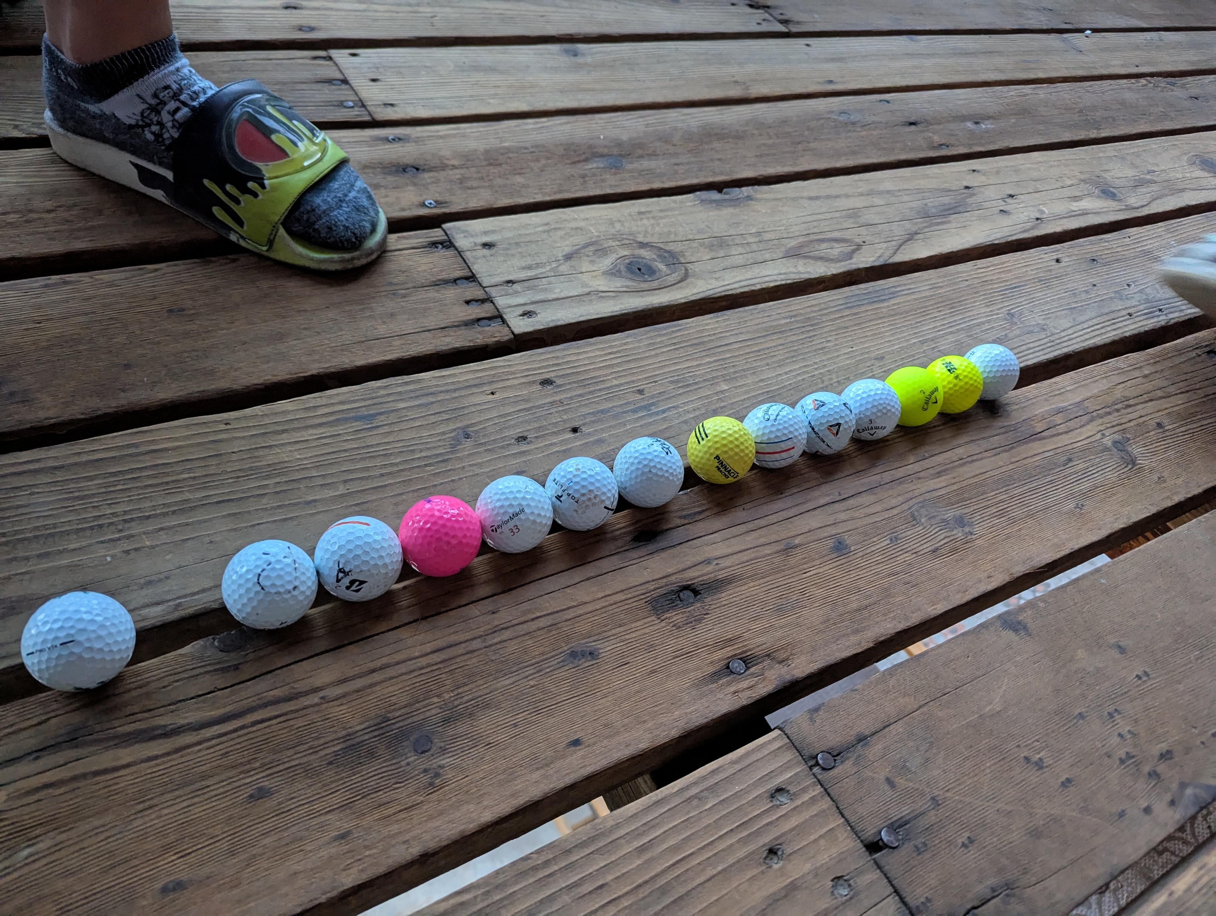 The kids' spoils from their evening stroll