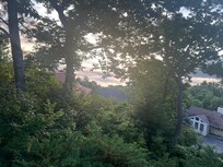 View from deck