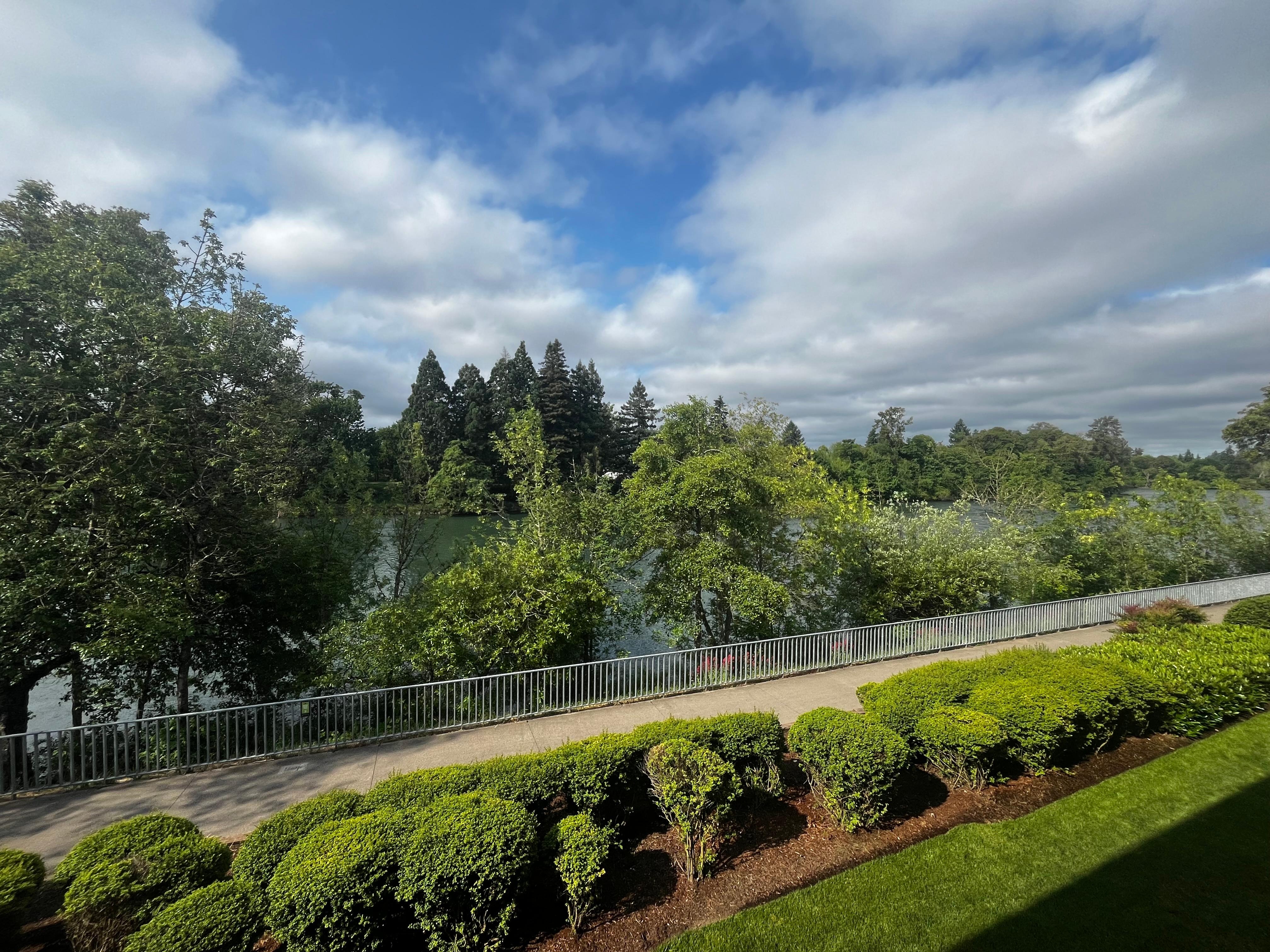 Patio Views 