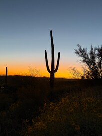 Outstanding Sunsets